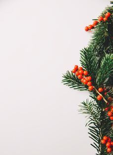 Christmas tree